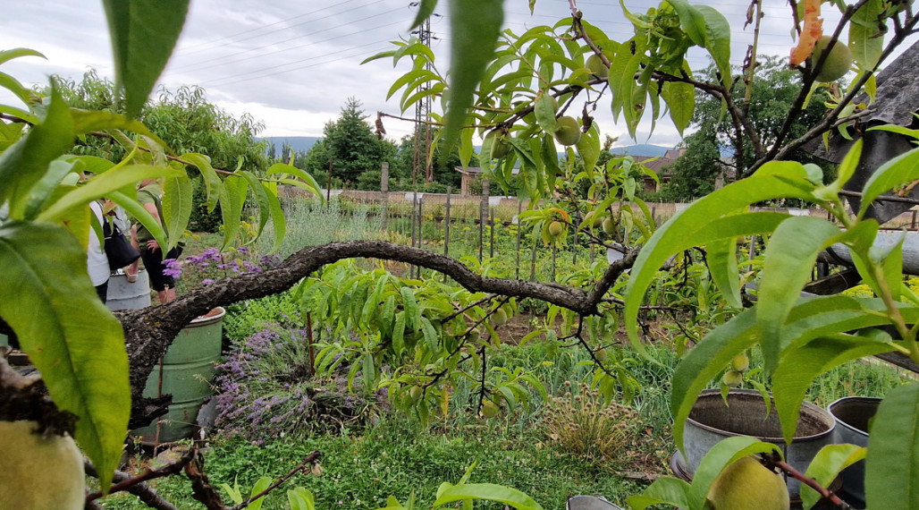 Unikátny 2 izbový byt, v cene garáž aj záhrada, Nováky 71m2