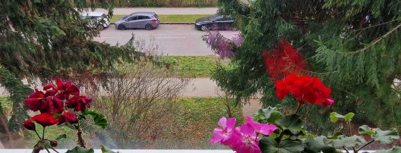 Jedinečný 2 izbový byt, B. Bjőrnsona, Prievidza