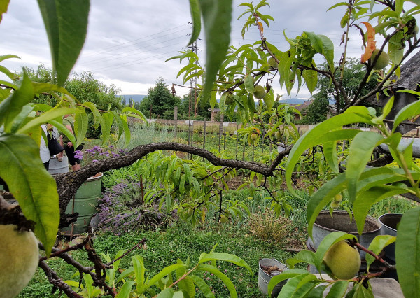 Unikátny 2 izbový byt, v cene garáž aj záhrada, Nováky 71m2